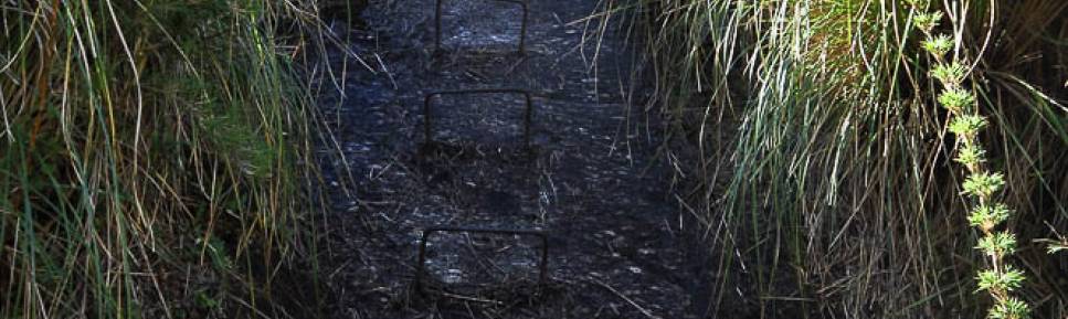 Com a ajuda de grampos de ferro fincados na rocha, subindo o Elevador, com inclinações próximas de 70 graus, no 2o dia de travessia no Parque Nacional da Serra dos Órgãos, no Rio de Janeiro